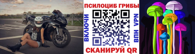 Галлюциногенные грибы мухоморы  продажа наркотиков  Элиста 